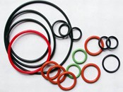 O-RING Seals